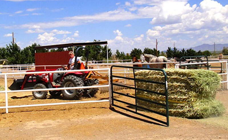 Bringing Hay to the Horses at Kiva RV Park